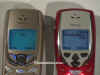 Dvc00030.jpg (48172 byte)