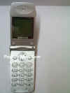Dcp00900.jpg (44791 byte)