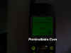 Dcp00679.jpg (25103 byte)