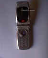 Dvc00011.jpg (32029 byte)