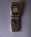 Dvc00012.jpg (31693 byte)