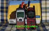 cellfoto3.jpg (45161 byte)