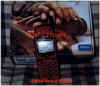 cellfoto5.jpg (22647 byte)