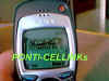 cellfoto6.jpg (15651 byte)